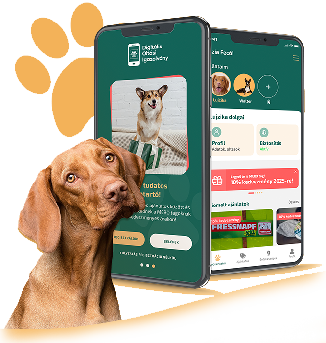 Alkalmazás illusztráció